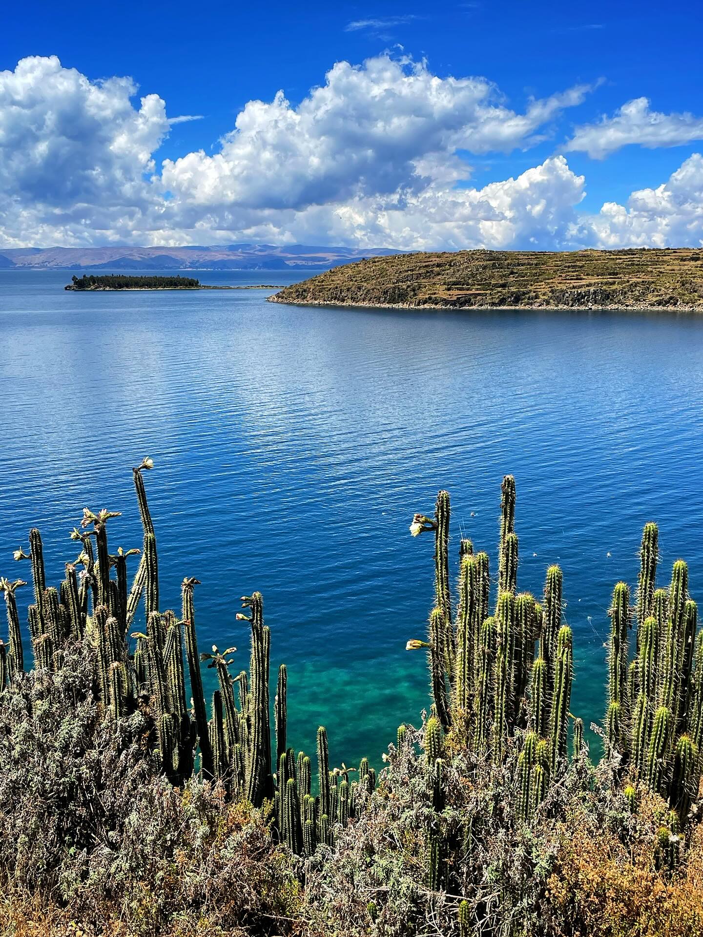 Lake Titicaca view